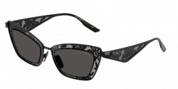 Dolce and Gabbana DG2311