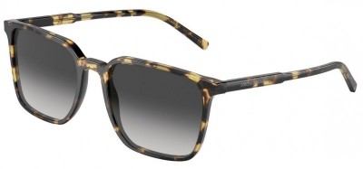 Dolce and Gabbana DG4424F Spare Parts 512 8G