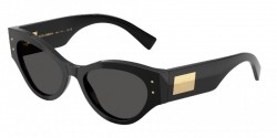 Dolce and Gabbana DG4480F