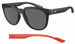 Emporio Armani EA4205 Spare Parts