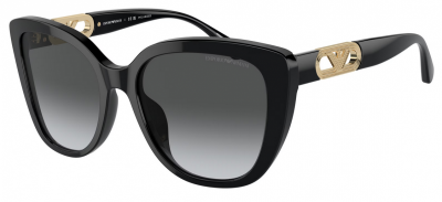 Emporio Armani EA4214U Spare Parts 50178G