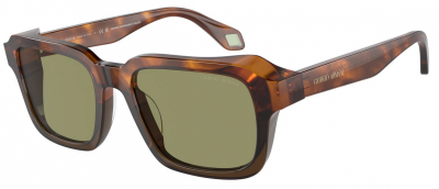 Giorgio Armani AR8194U Spare Parts 598814