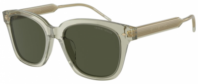 Giorgio Armani AR8210U Spare Parts 608331