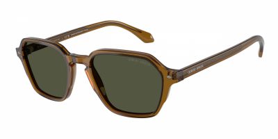 Giorgio Armani AR8220 Spare Parts 617231