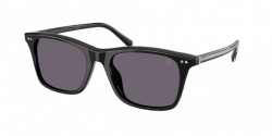 Ralph Lauren RL8242U