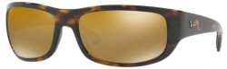 Ray-Ban RB4283CH Spare Parts