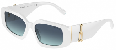 Tiffany TF4208U Spare Parts 83579S