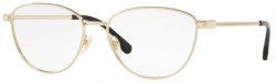 Versace VE1253